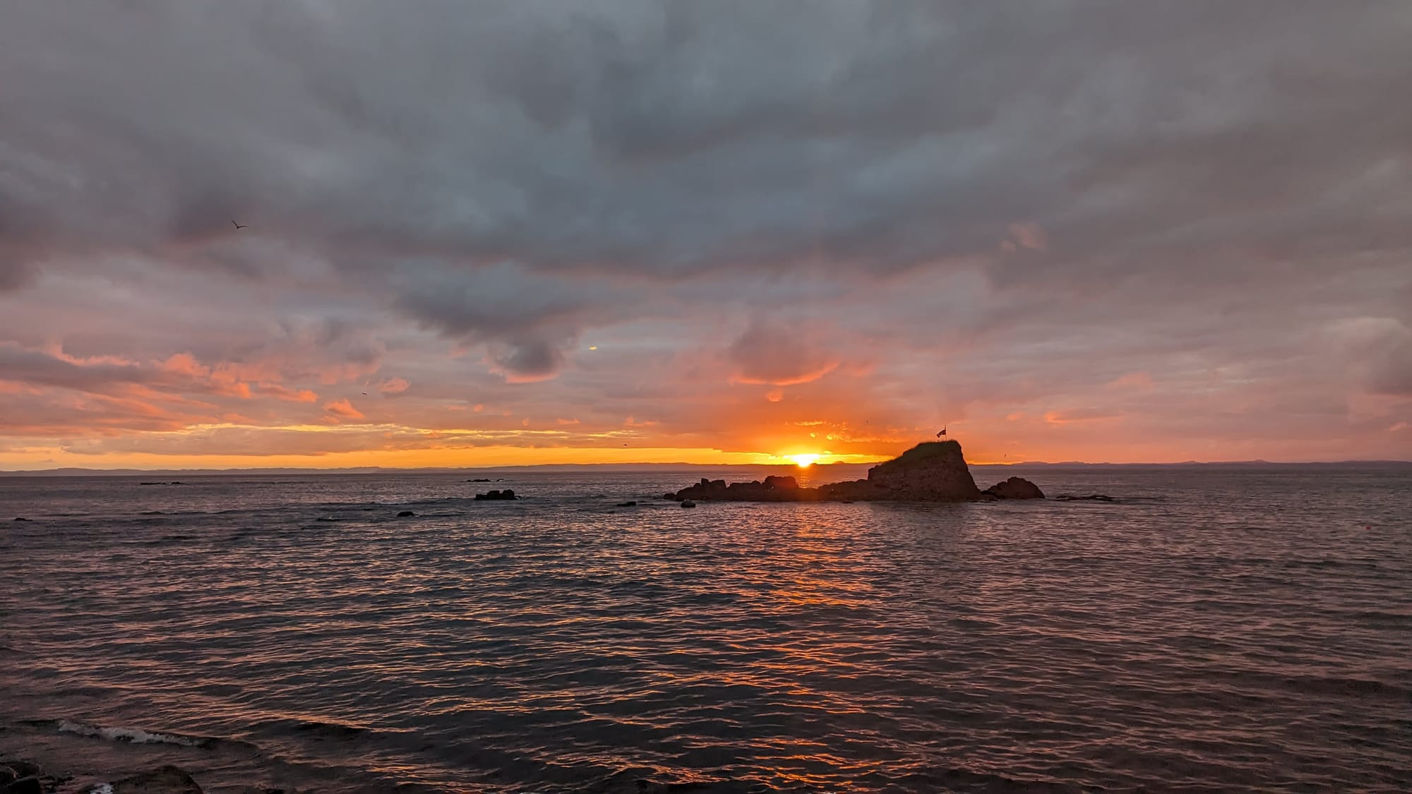 Across the Cove rental